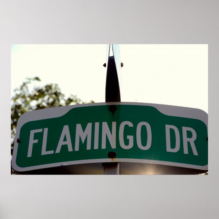 Flamingo Drive Print