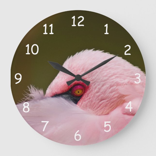 Flamingo Eye Large Clock (Front)