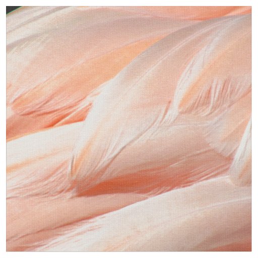 Flamingo Feathers - 5818 Fabric