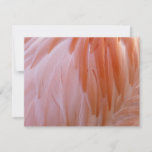 Flamingo Feathers in Shades of Pink