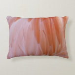 Flamingo Feathers in Shades of Pink Accent Pillow