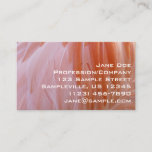 Flamingo Feathers in Shades of Pink Business Card