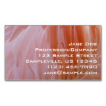 Flamingo Feathers in Shades of Pink Business Card Magnet