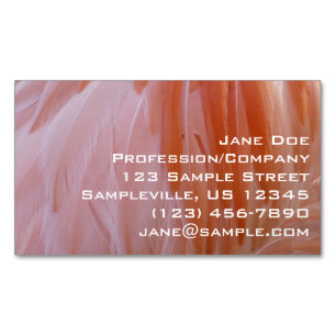 Flamingo Feathers in Shades of Pink Business Card Magnet