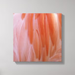 Flamingo Feathers in Shades of Pink Canvas Print