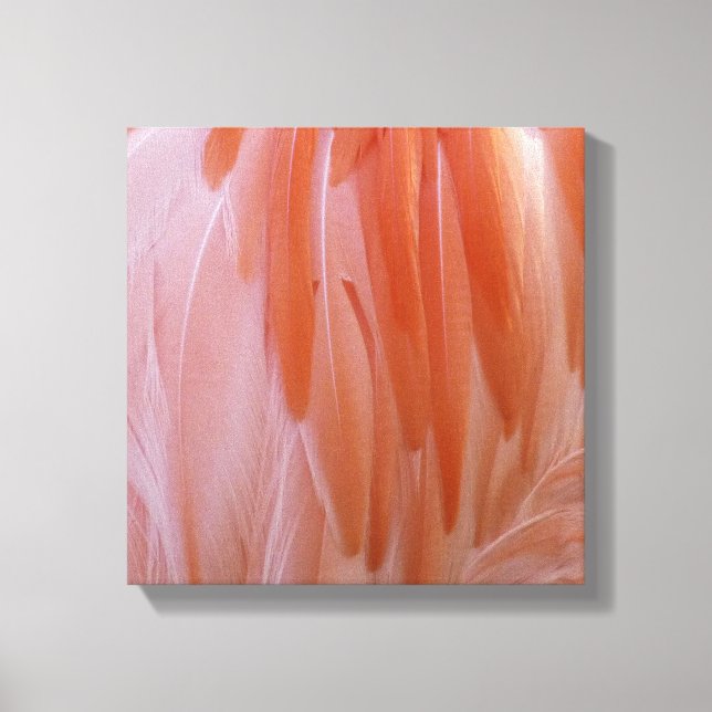 Flamingo Feathers in Shades of Pink Canvas Print (Front)