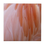 Flamingo Feathers in Shades of Pink Ceramic Tile