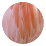 Flamingo Feathers in Shades of Pink Classic Round Sticker