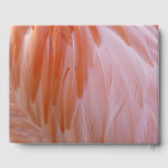 Flamingo Feathers in Shades of Pink Guest Book