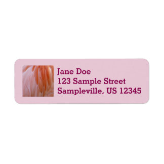 Flamingo Feathers in Shades of Pink Label