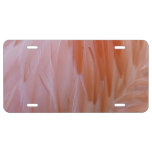 Flamingo Feathers in Shades of Pink License Plate