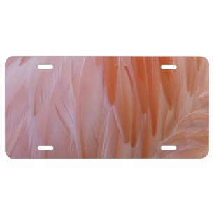 Flamingo Feathers in Shades of Pink License Plate
