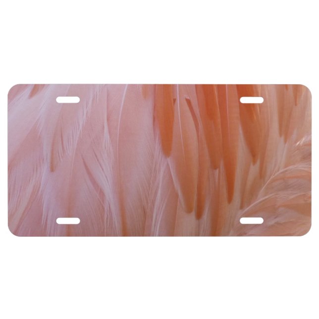 Flamingo Feathers in Shades of Pink License Plate (Front)