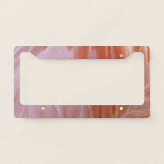 Flamingo Feathers in Shades of Pink License Plate Frame (Front)