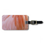 Flamingo Feathers in Shades of Pink Luggage Tag