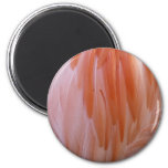 Flamingo Feathers in Shades of Pink Magnet