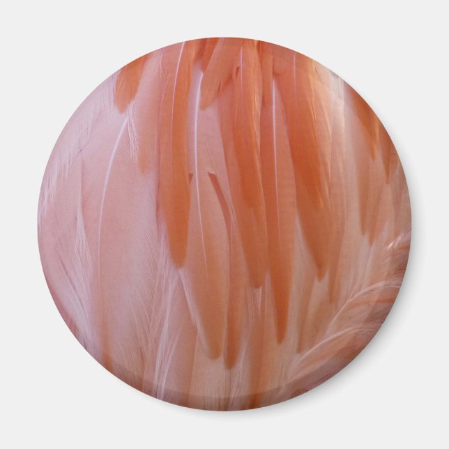 Flamingo Feathers in Shades of Pink Magnet (Front)