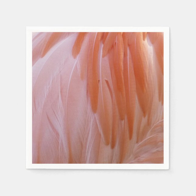 Flamingo Feathers in Shades of Pink Napkins (Front)