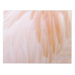 Flamingo Feathers in Shades of Pink Notepad