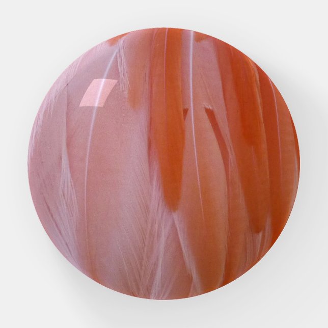 Flamingo Feathers in Shades of Pink Paperweight (Front)