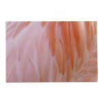 Flamingo Feathers in Shades of Pink Placemat