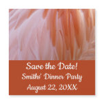 Flamingo Feathers in Shades of Pink Save the Date