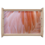 Flamingo Feathers in Shades of Pink Serving Tray
