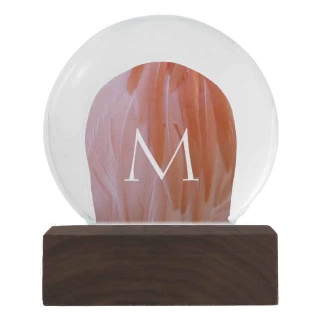 Flamingo Feathers in Shades of Pink Snow Globe (Front)