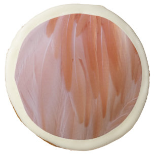 Flamingo Feathers in Shades of Pink Sugar Cookie