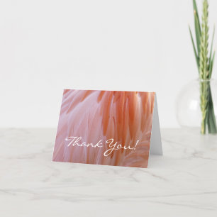 Flamingo Feathers in Shades of Pink Thank You Card