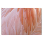Flamingo Feathers in Shades of Pink Tissue Paper