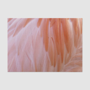 Flamingo Feathers in Shades of Pink Tissue Paper