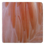 Flamingo Feathers in Shades of Pink Trivet