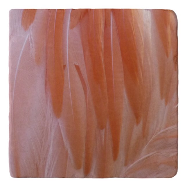 Flamingo Feathers in Shades of Pink Trivet (Front)