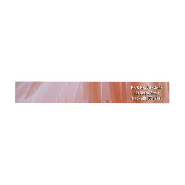 Flamingo Feathers in Shades of Pink Wrap Around Label (Individual)