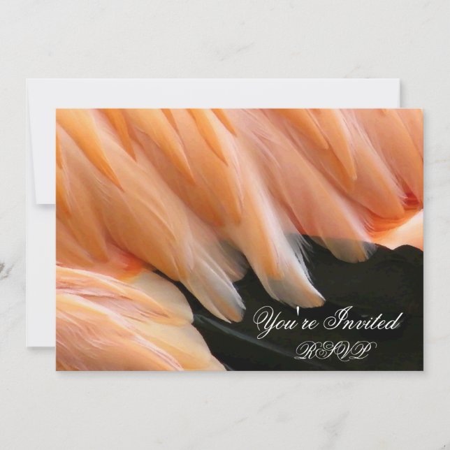 Flamingo Feathers_ Invitation (Front)