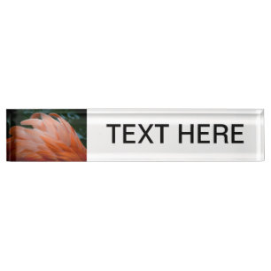 flamingo feathers ruffled closeup bird name plate