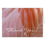 Flamingo Feathers Thank You (Blank Inside)