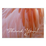 Flamingo Feathers Thank You (Blank Inside) Cards