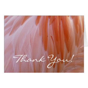 Flamingo Feathers Thank You (Blank Inside) Cards