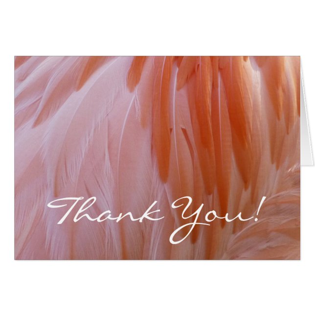 Flamingo Feathers Thank You (Blank Inside) Cards (Front Horizontal)