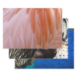 Flamingo Feathers Wrapping Paper Sheets