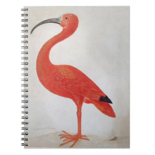 Flamingo - Fine Art Notebook