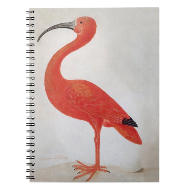 Flamingo - Fine Art Notebook