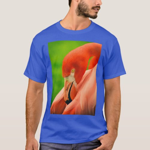 Flamingo Flamenco Long T_Shirt