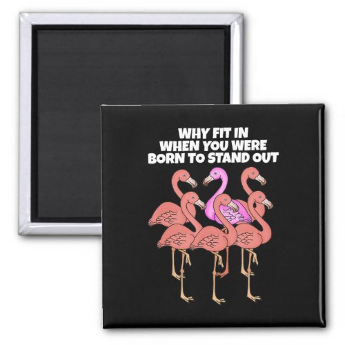 Flamingo  Flamingo Why In When You Were Born Magnet