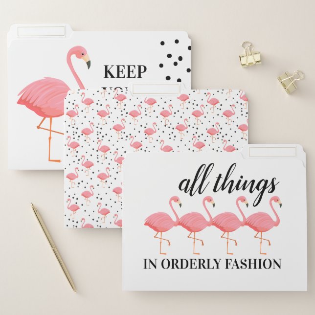 Flamingo Flare File Folders (Set)