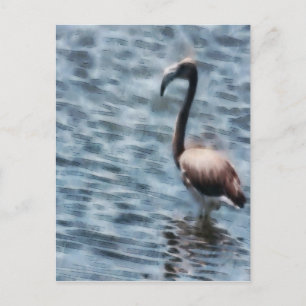 Flamingo Fledgling Watercolor Postcard