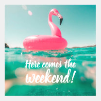 Flamingo Float Facebook Image Profile