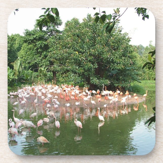 flamingo flock beverage coaster (Front)